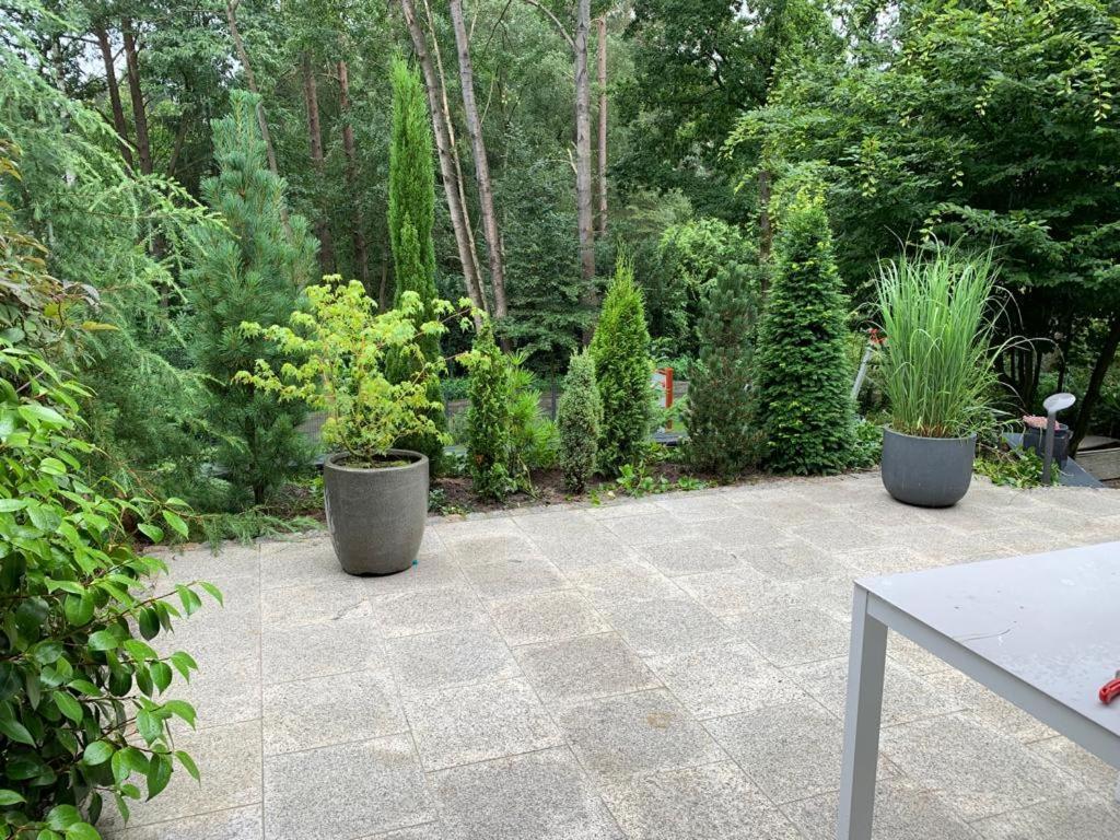 Ferienhaus Bendestorf, Waldweg 38,Naehe Hamburg Экстерьер фото